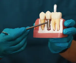 Dental education and care